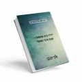 "ידיד בית-משפט" - מבט עיוני ומעשי